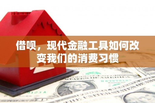 蠡县借呗，现代金融工具如何改变我们的消费习惯