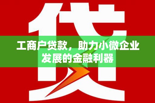 蠡县工商户贷款，助力小微企业发展的金融利器