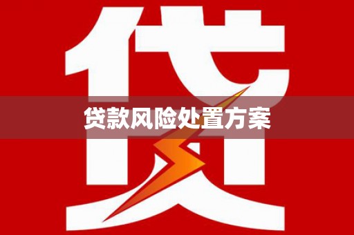 蠡县贷款风险处置方案