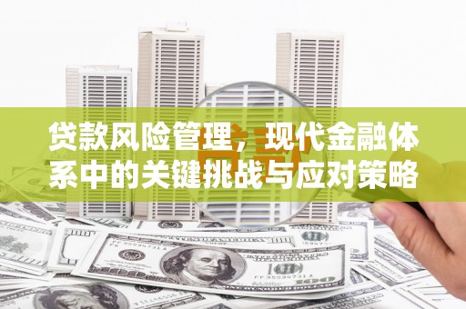 蠡县贷款风险管理，现代金融体系中的关键挑战与应对策略
