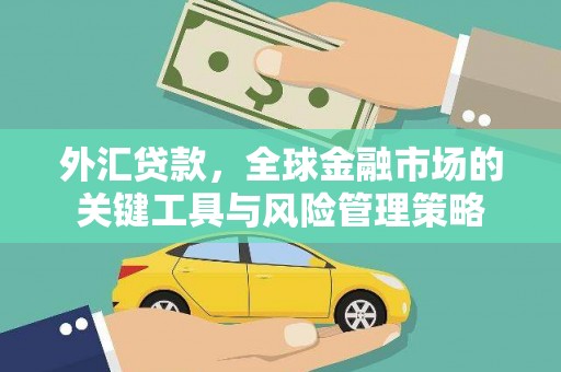 蠡县外汇贷款，全球金融市场的关键工具与风险管理策略