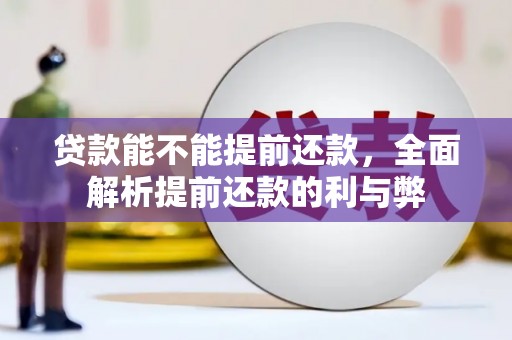 蠡县贷款能不能提前还款，全面解析提前还款的利与弊