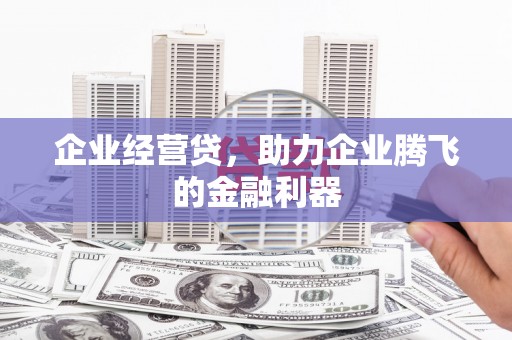 蠡县企业经营贷，助力企业腾飞的金融利器