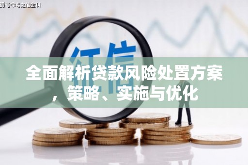 蠡县全面解析贷款风险处置方案，策略、实施与优化