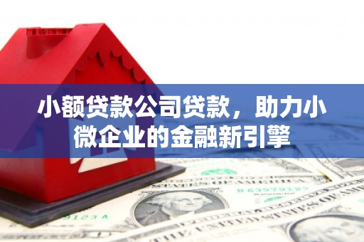 蠡县小额贷款公司贷款，助力小微企业的金融新引擎