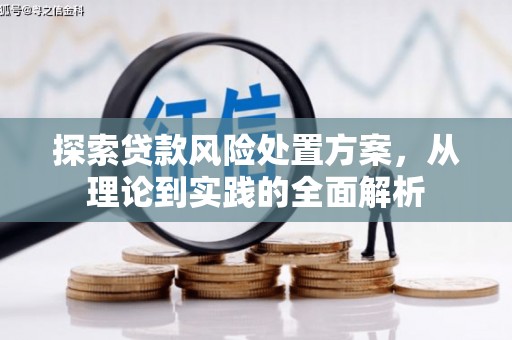 蠡县探索贷款风险处置方案，从理论到实践的全面解析