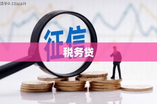 蠡县税务贷