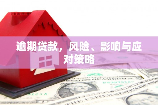 蠡县逾期贷款，风险、影响与应对策略