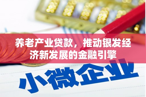 蠡县养老产业贷款，推动银发经济新发展的金融引擎
