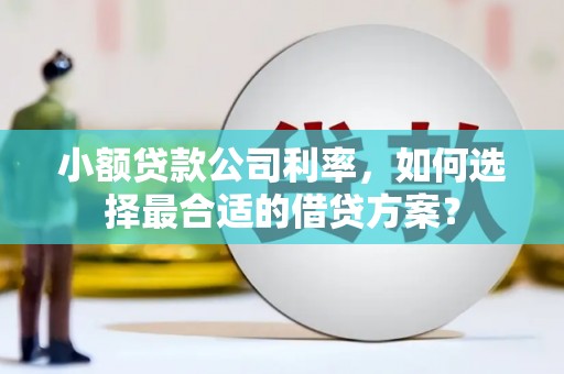 蠡县小额贷款公司利率，如何选择最合适的借贷方案？