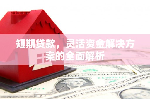 蠡县短期贷款，灵活资金解决方案的全面解析