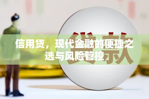 蠡县信用贷，现代金融的便捷之选与风险管控