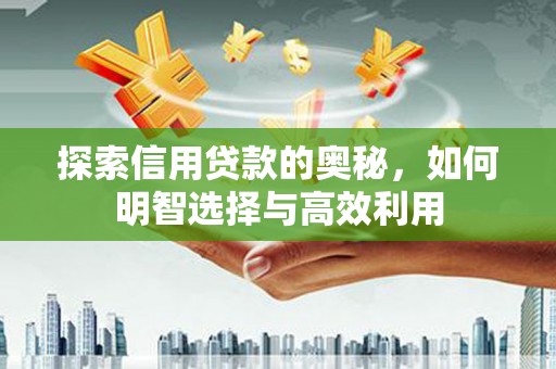 蠡县探索信用贷款的奥秘，如何明智选择与高效利用