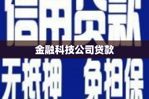 蠡县金融科技公司贷款