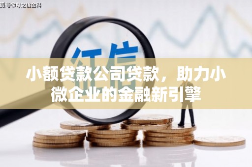 蠡县小额贷款公司贷款，助力小微企业的金融新引擎