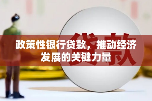 蠡县政策性银行贷款，推动经济发展的关键力量