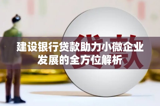 蠡县建设银行贷款助力小微企业发展的全方位解析