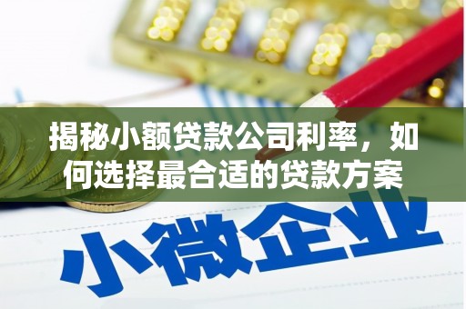 蠡县揭秘小额贷款公司利率，如何选择最合适的贷款方案