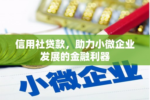 蠡县信用社贷款，助力小微企业发展的金融利器