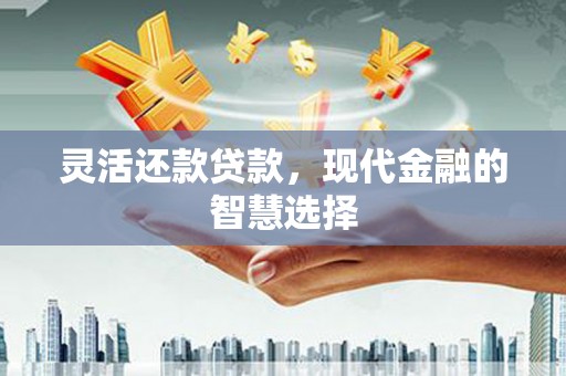 蠡县灵活还款贷款，现代金融的智慧选择