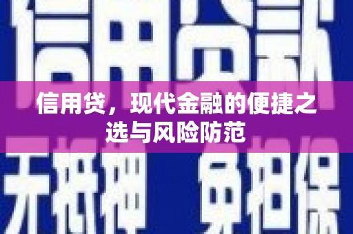 蠡县信用贷，现代金融的便捷之选与风险防范