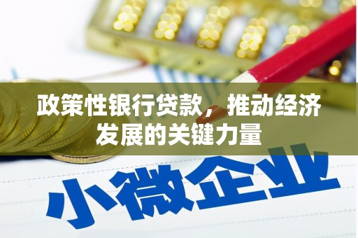 蠡县政策性银行贷款，推动经济发展的关键力量
