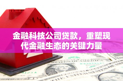 蠡县金融科技公司贷款，重塑现代金融生态的关键力量