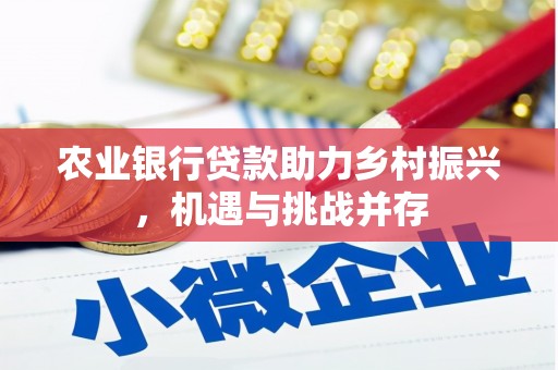 蠡县农业银行贷款助力乡村振兴，机遇与挑战并存