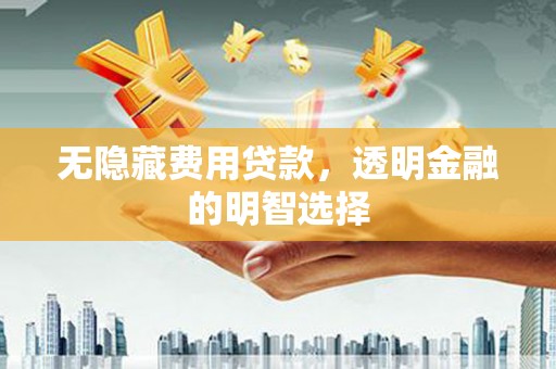 蠡县无隐藏费用贷款，透明金融的明智选择