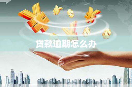蠡县贷款逾期怎么办