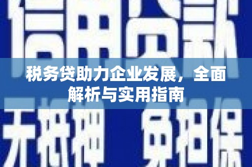 蠡县税务贷助力企业发展，全面解析与实用指南