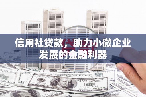 蠡县信用社贷款，助力小微企业发展的金融利器