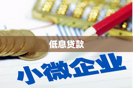 蠡县低息贷款