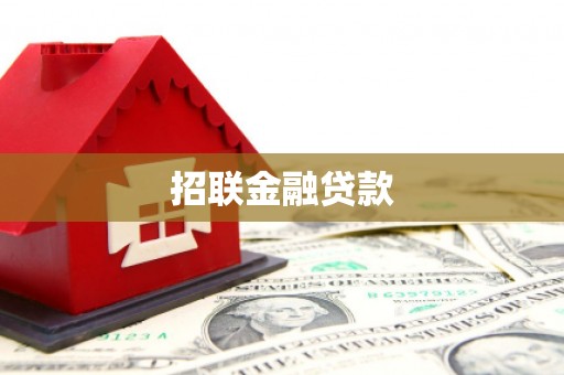 蠡县招联金融贷款