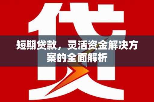 蠡县短期贷款，灵活资金解决方案的全面解析