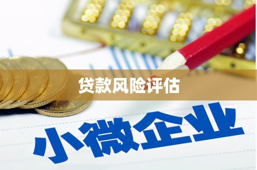 蠡县贷款风险评估