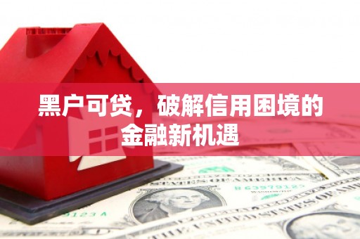 蠡县黑户可贷，破解信用困境的金融新机遇