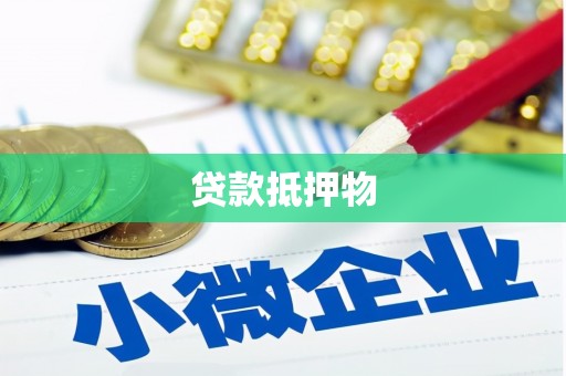 蠡县贷款抵押物