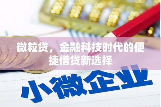 蠡县微粒贷，金融科技时代的便捷借贷新选择