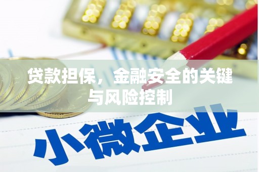 蠡县贷款担保，金融安全的关键与风险控制