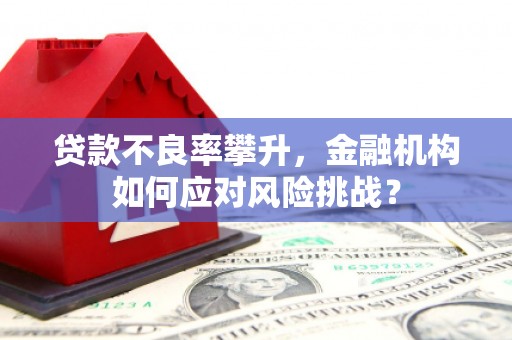 蠡县贷款不良率攀升，金融机构如何应对风险挑战？