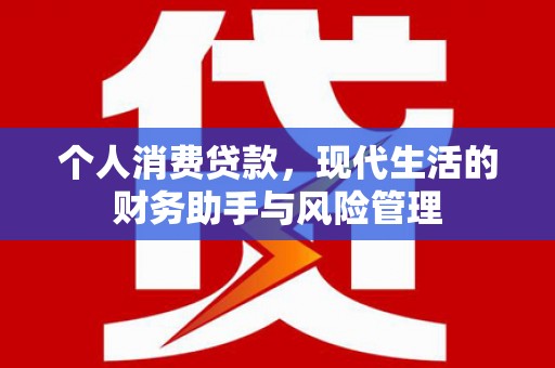 蠡县个人消费贷款，现代生活的财务助手与风险管理