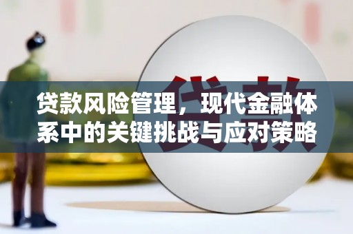 蠡县贷款风险管理，现代金融体系中的关键挑战与应对策略