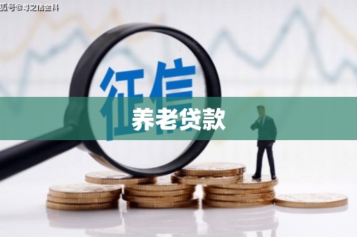 蠡县养老贷款