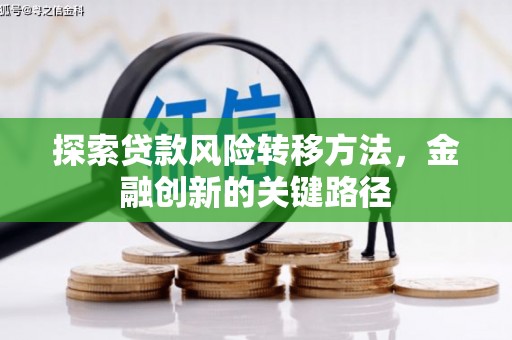 蠡县探索贷款风险转移方法，金融创新的关键路径