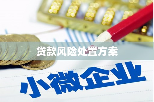 蠡县贷款风险处置方案