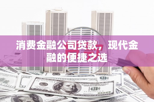 蠡县消费金融公司贷款，现代金融的便捷之选