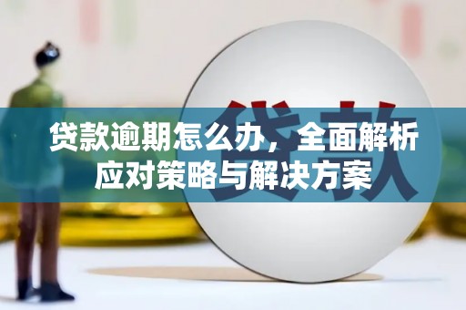 蠡县贷款逾期怎么办，全面解析应对策略与解决方案