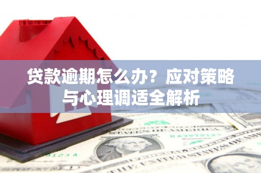 蠡县贷款逾期怎么办？应对策略与心理调适全解析