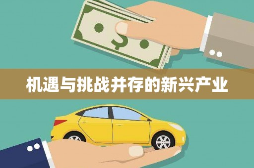 蠡县机遇与挑战并存的新兴产业